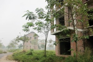 Siêu đô thị Mê Linh: khách “cưỡi lưng hổ”